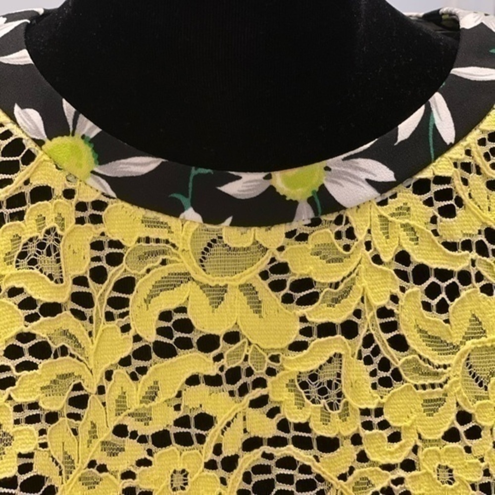 Max Mara Lace Dress - Picture 10 of 14